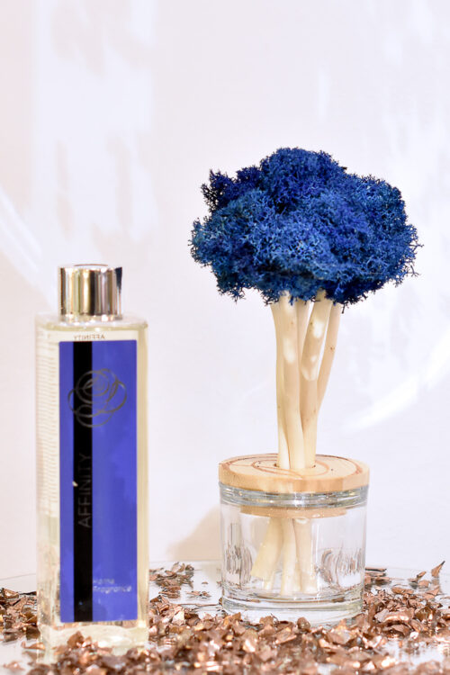 Petit arbre diffuseur bleu avec son parfum d’ambiance 