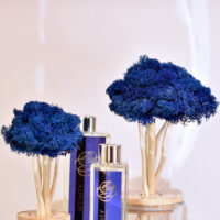 Arbres diffuseur bleu avec leur parfum d’ambiance "Symphonie marine"