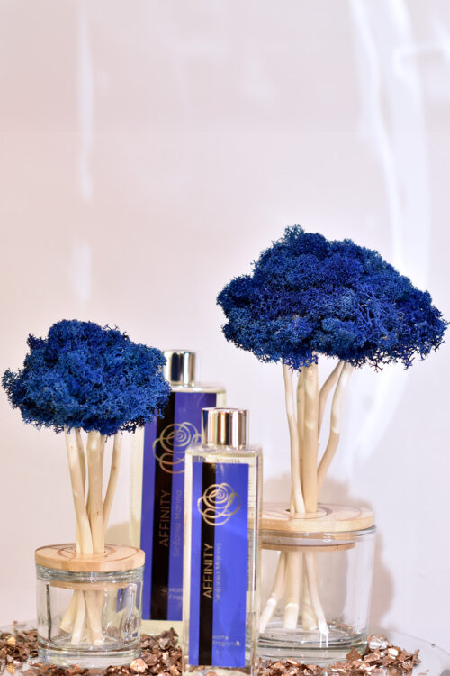 Arbres diffuseur bleu avec leur parfum d’ambiance 