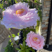 Fleurs d’amour