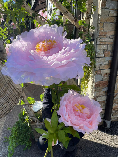 Fleurs d’amour