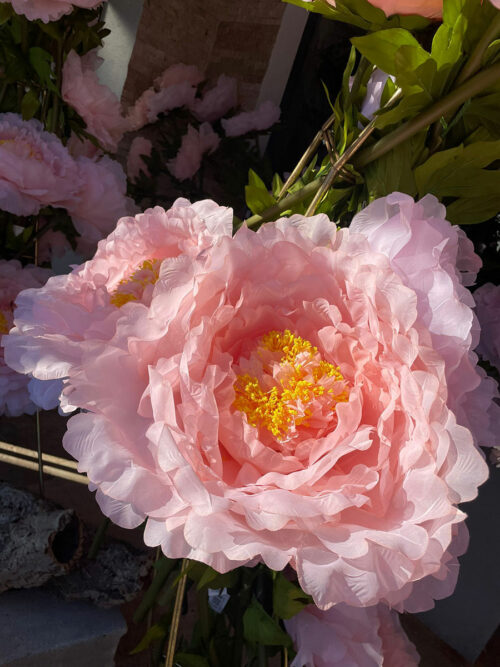 Fleurs d’amour – Image 2