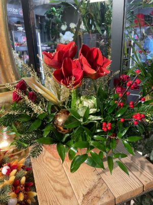 Le petit bateau d'amarylis rouge