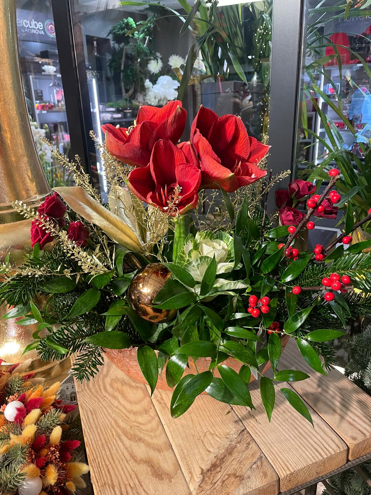 Le petit bateau d'amarylis rouge