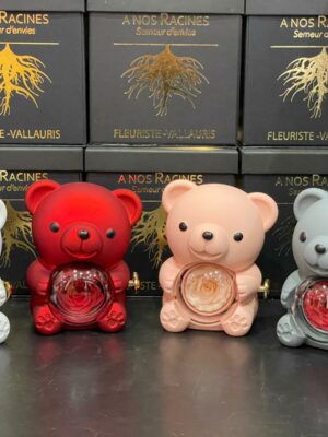 Ourson avec rose éternelle et boîte à bijoux intégrée