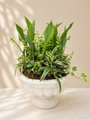Coupe de 8 brins de muguet