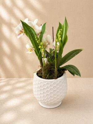 Muguet 2 brins + orchidées