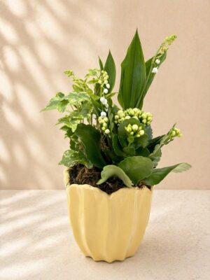 Compositoin 3 brins de muguet + Kalanchoë