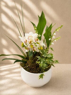 Coupe de 3 brins de muguet + orchidées
