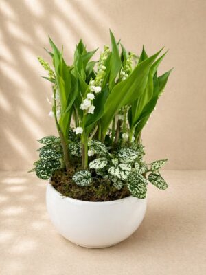 Composition 9 brins de muguet