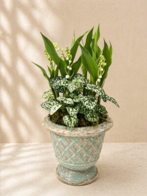 Composition 7 brins de muguet