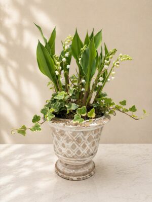 Composition 7 brins de muguet