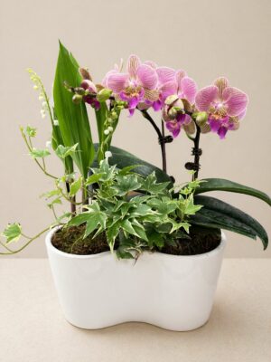 Composition de 3 brins de muguet et son orchidées