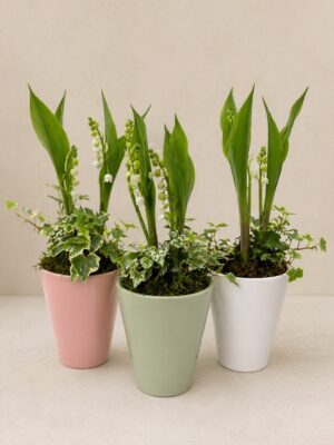 Composition 2 brins de muguet