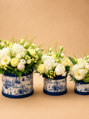 Boite bleu et blanche